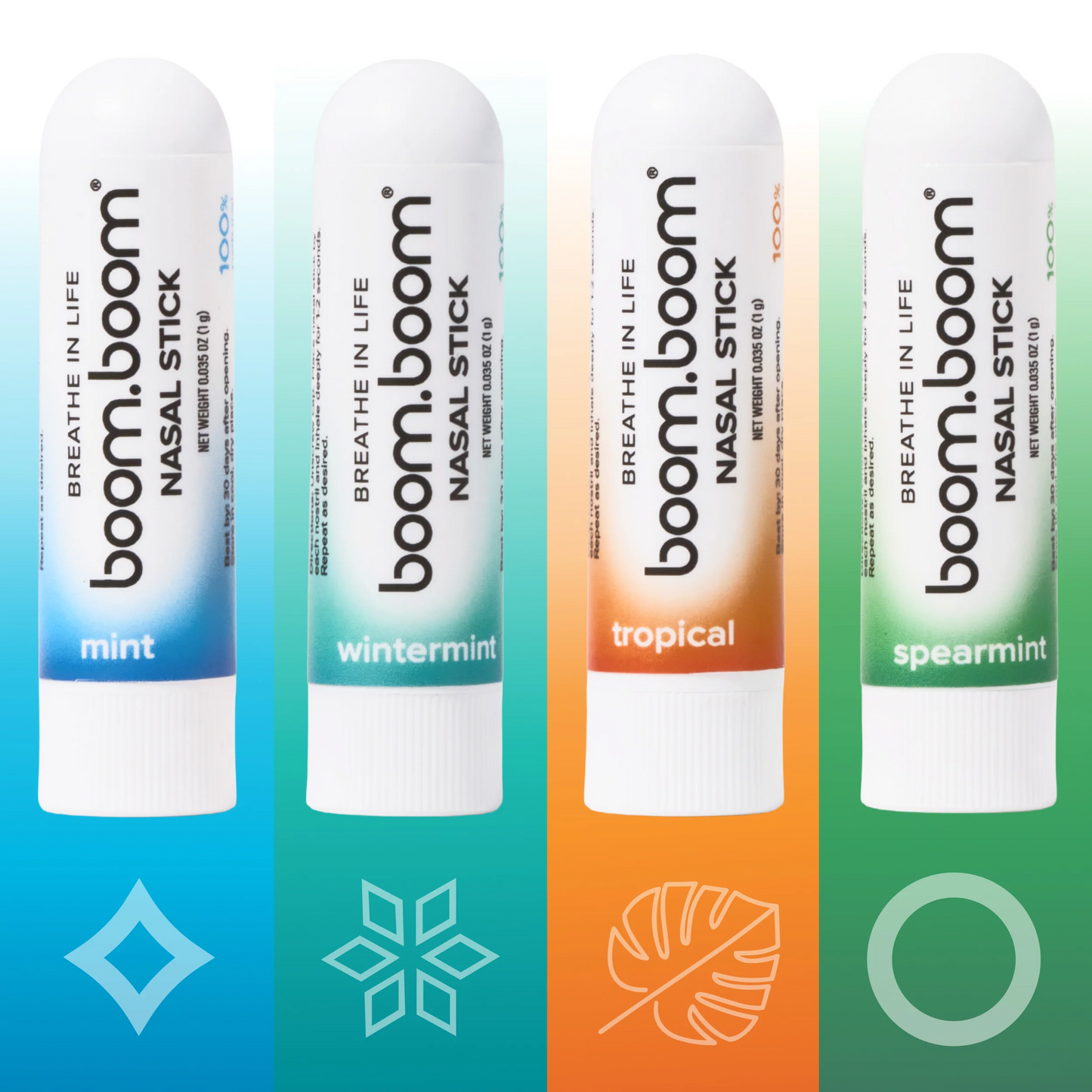 Nasal Stick (4 pack)